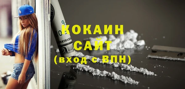 прущие грибы Магас