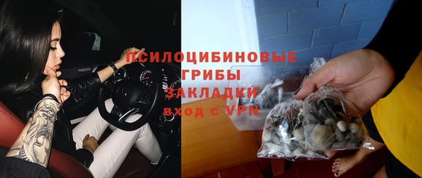 прущие грибы Магас