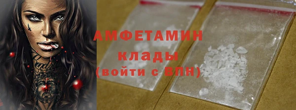 прущие грибы Магас