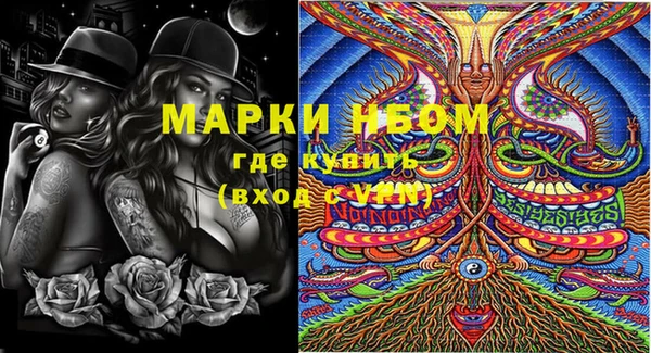 прущие грибы Магас