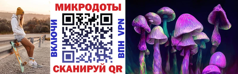 Галлюциногенные грибы MAGIC MUSHROOMS  блэк спрут ONION  Тимашёвск  закладка 